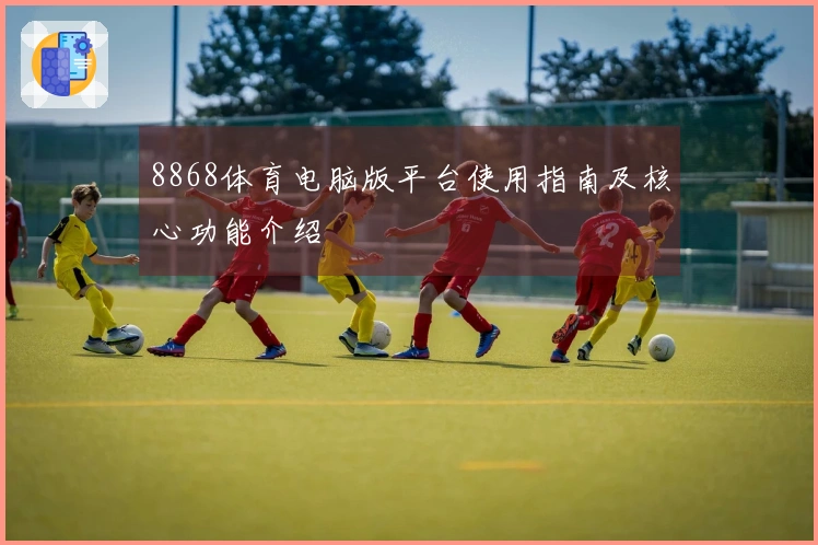 8868体育电脑版平台使用指南及核心功能介绍