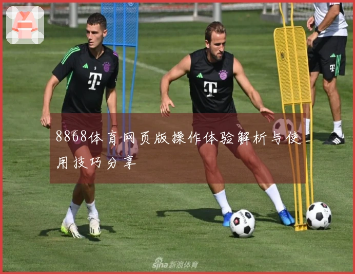 8868体育网页版操作体验解析与使用技巧分享
